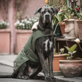 Kentucky Waterproof Dog Coat - Olive Green