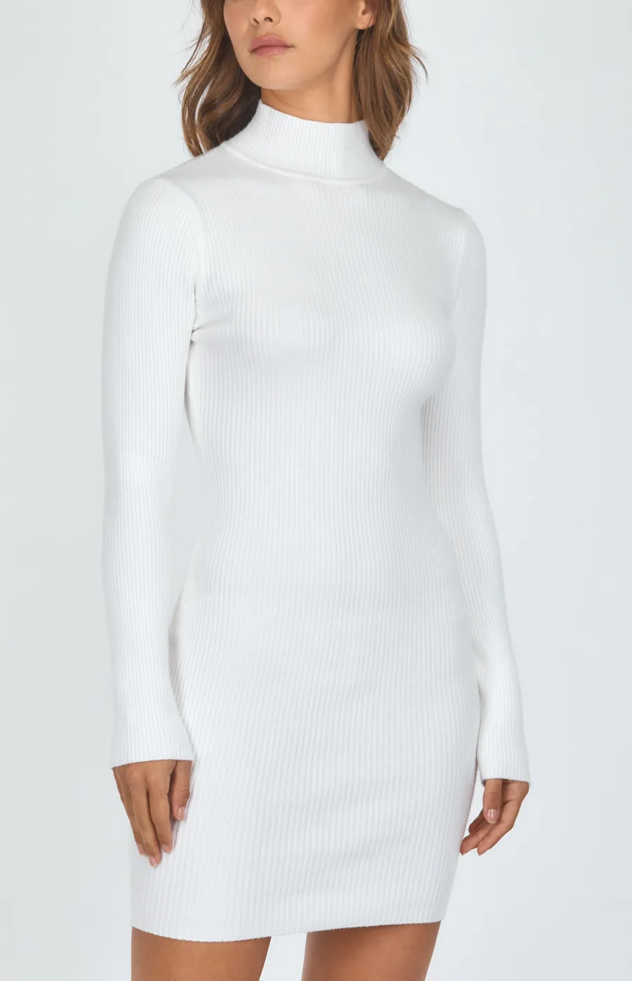 Turtleneck Ribbed Knit Dress (SKN478)